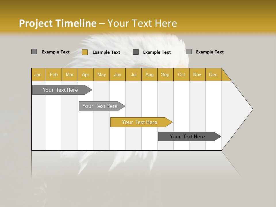 Head Haliaeetus American PowerPoint Template