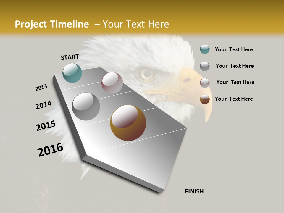 Head Haliaeetus American PowerPoint Template
