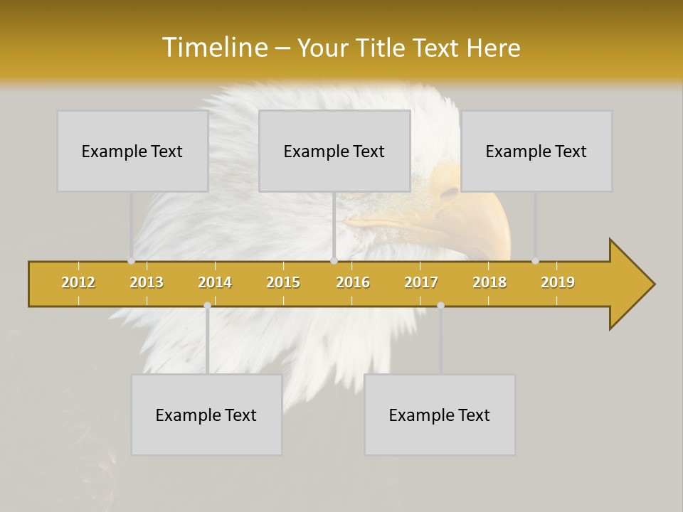 Head Haliaeetus American PowerPoint Template