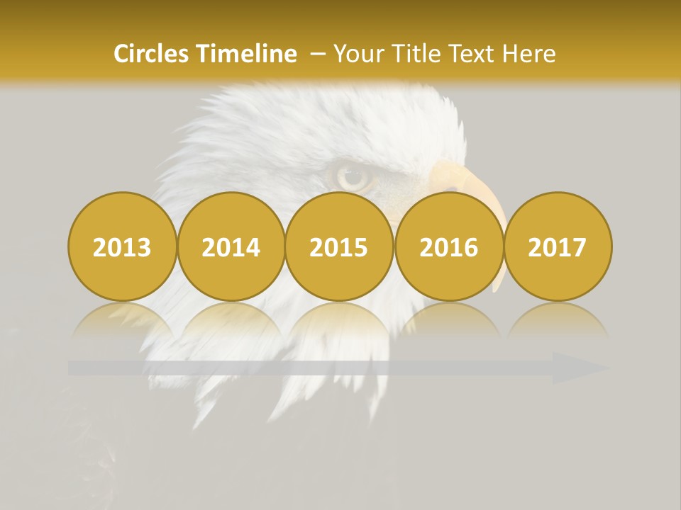 Head Haliaeetus American PowerPoint Template