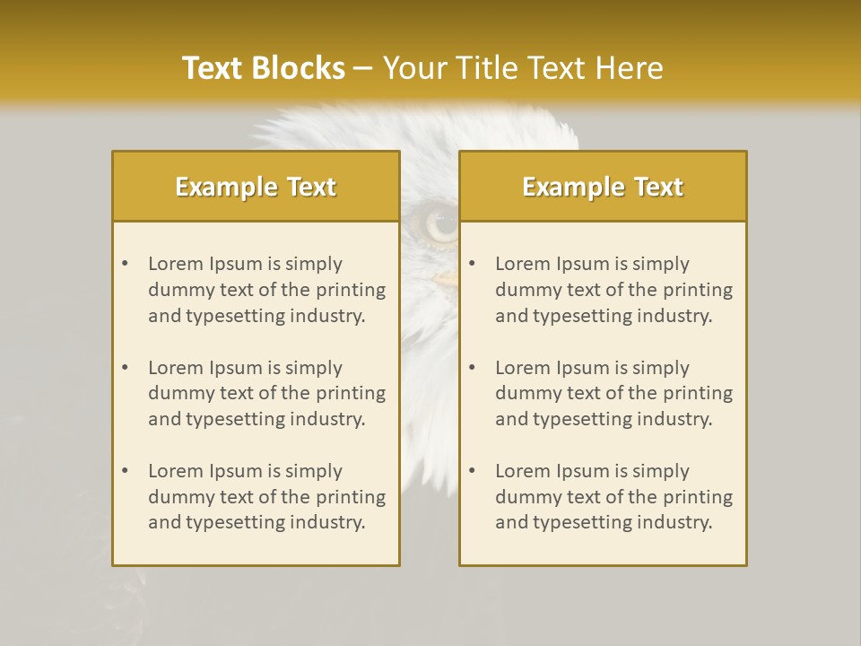 Head Haliaeetus American PowerPoint Template