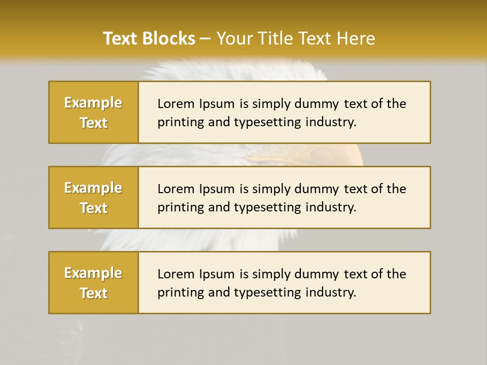Head Haliaeetus American PowerPoint Template