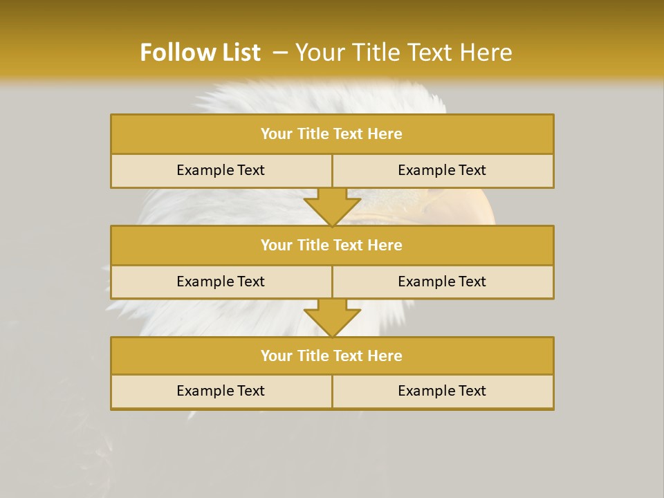Head Haliaeetus American PowerPoint Template