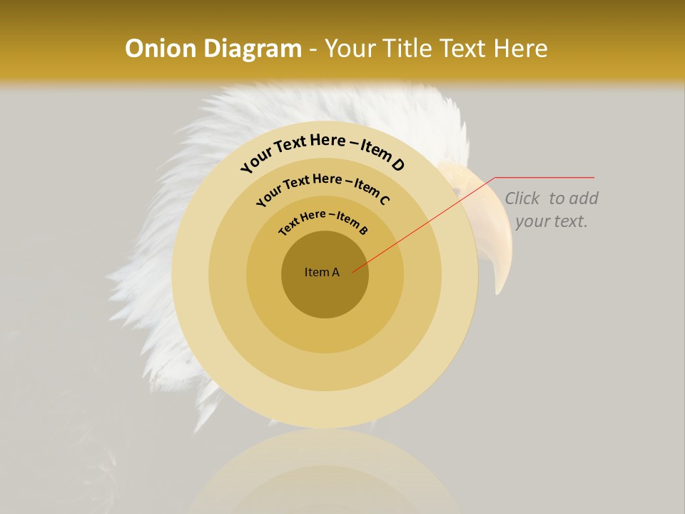 Head Haliaeetus American PowerPoint Template