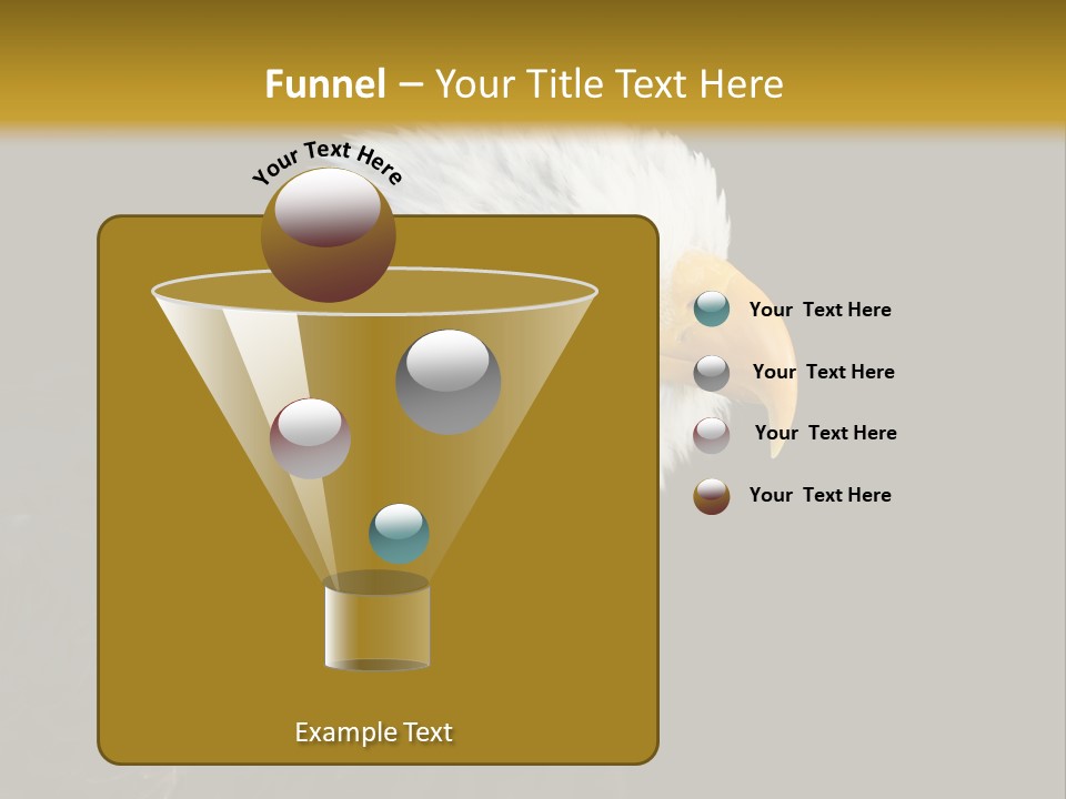 Head Haliaeetus American PowerPoint Template