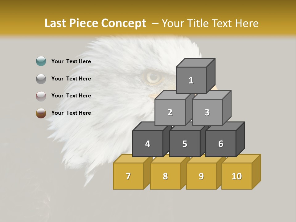 Head Haliaeetus American PowerPoint Template