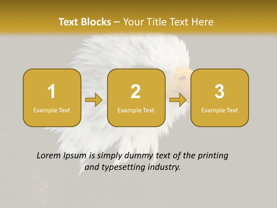 Head Haliaeetus American PowerPoint Template