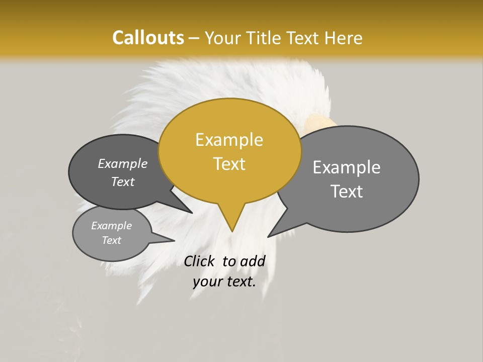 Head Haliaeetus American PowerPoint Template