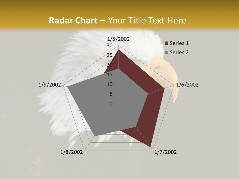 Head Haliaeetus American PowerPoint Template