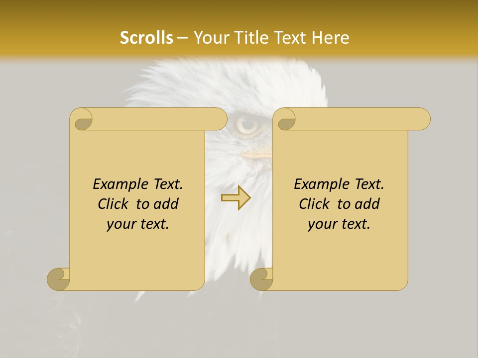Head Haliaeetus American PowerPoint Template