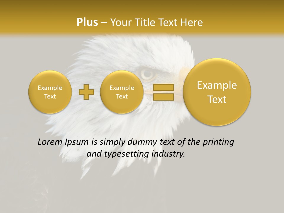 Head Haliaeetus American PowerPoint Template