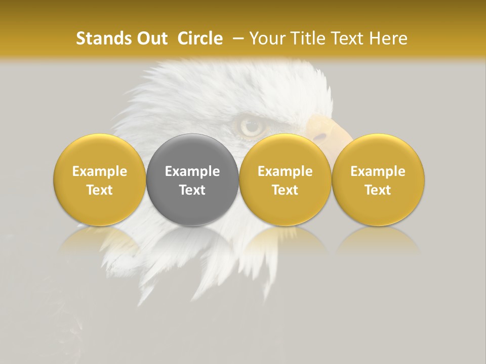 Head Haliaeetus American PowerPoint Template