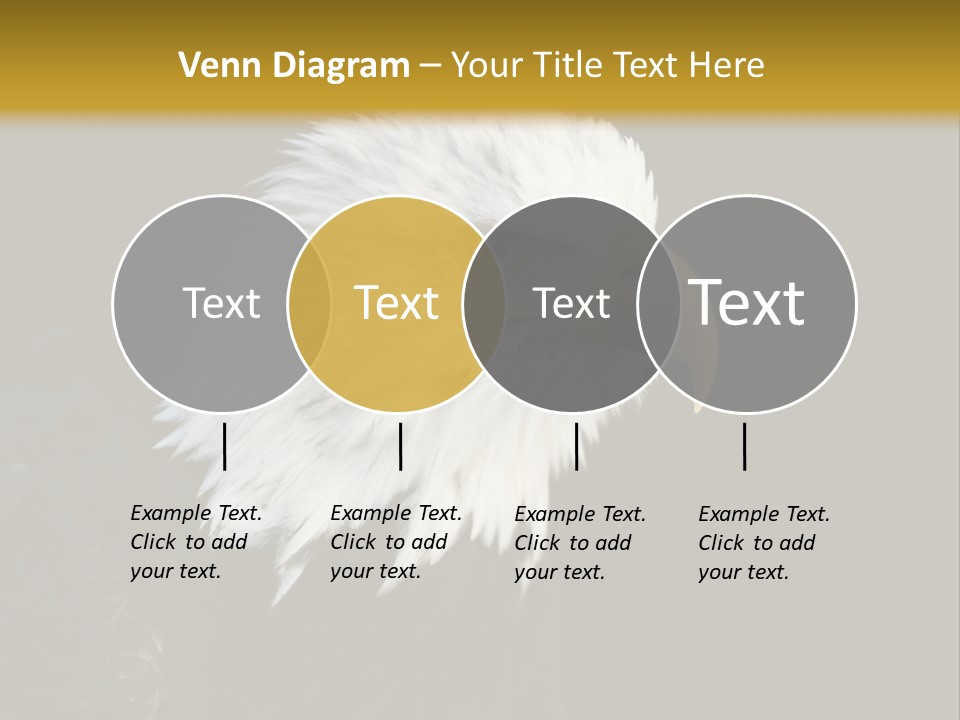 Head Haliaeetus American PowerPoint Template