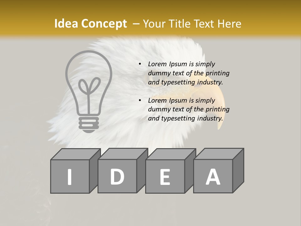 Head Haliaeetus American PowerPoint Template