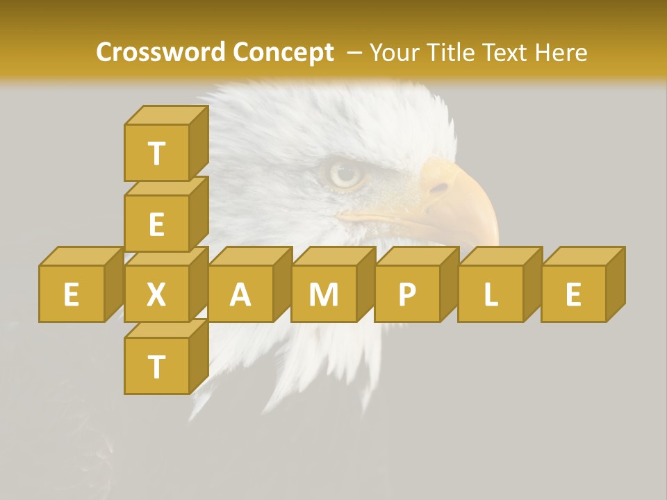 Head Haliaeetus American PowerPoint Template