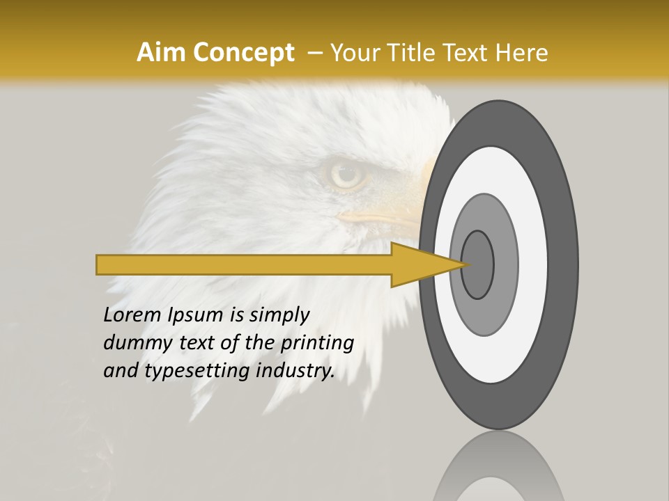 Head Haliaeetus American PowerPoint Template