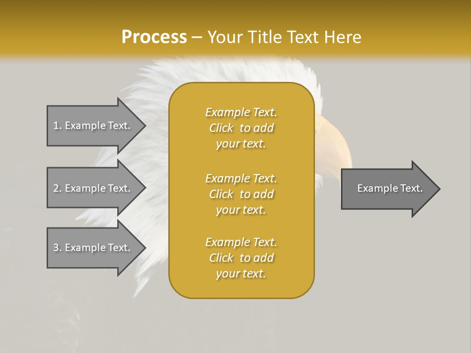 Head Haliaeetus American PowerPoint Template