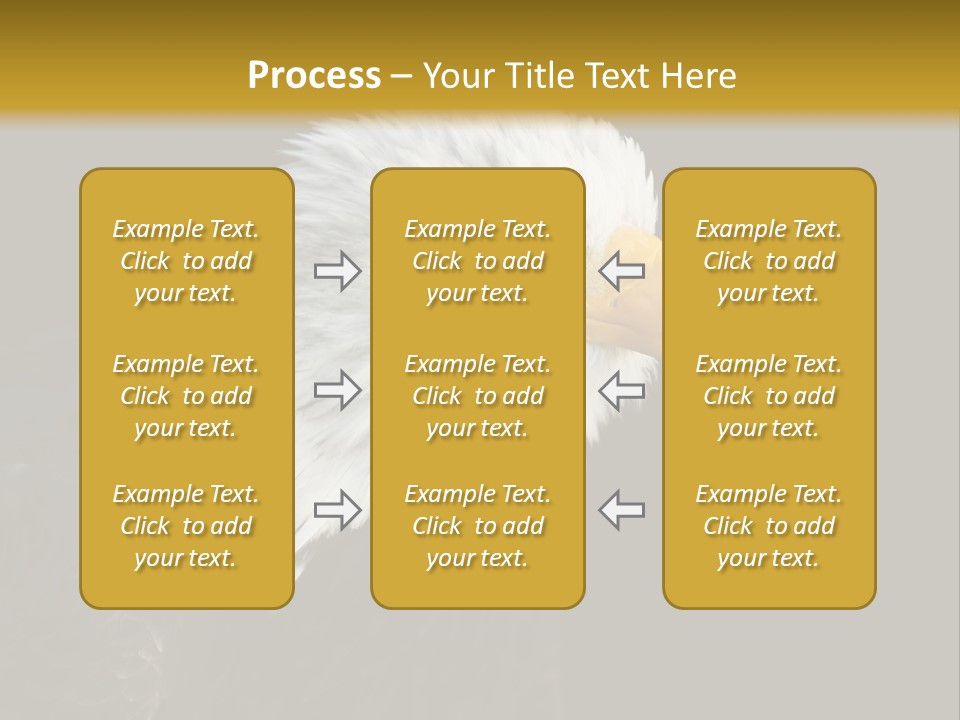 Head Haliaeetus American PowerPoint Template