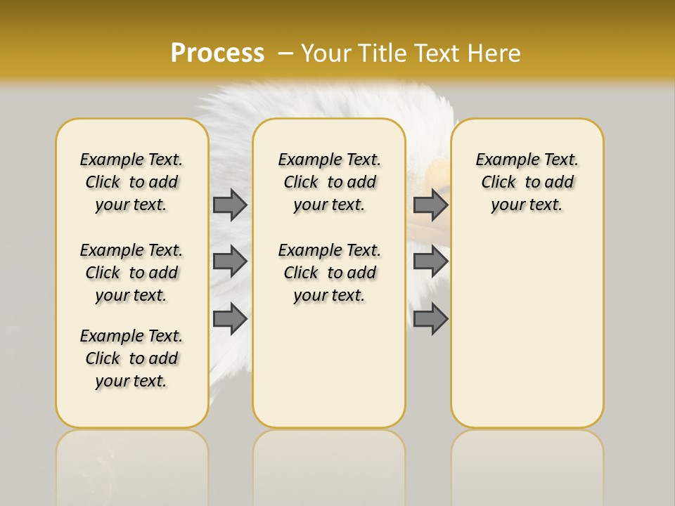 Head Haliaeetus American PowerPoint Template