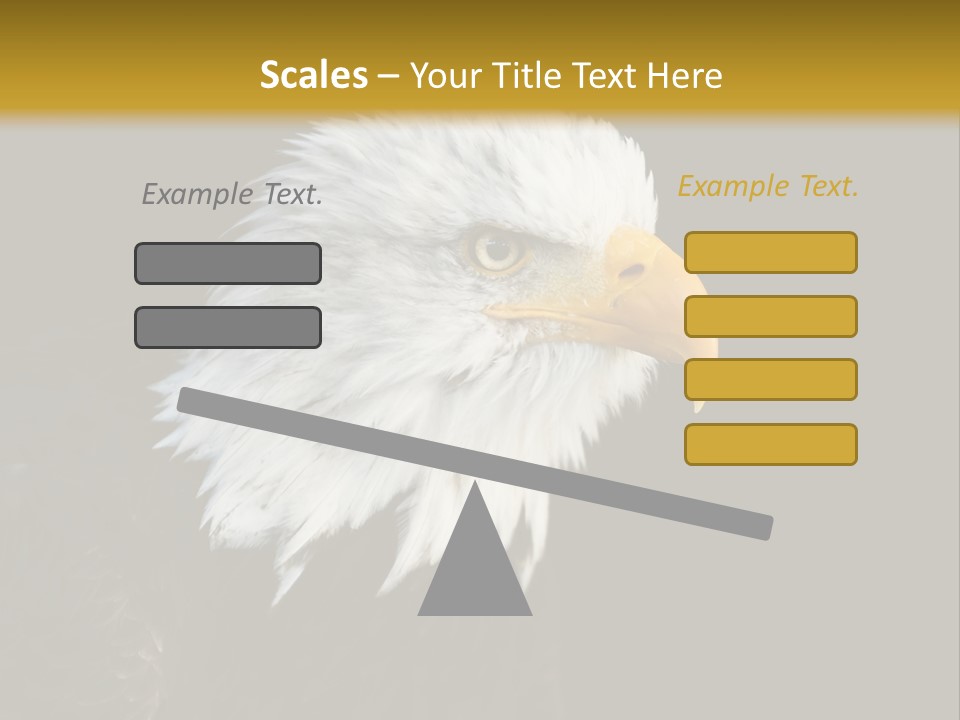 Head Haliaeetus American PowerPoint Template