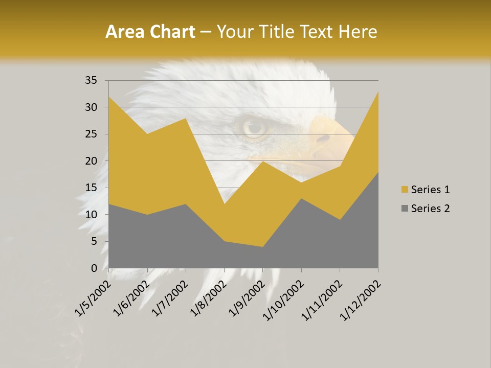 Head Haliaeetus American PowerPoint Template