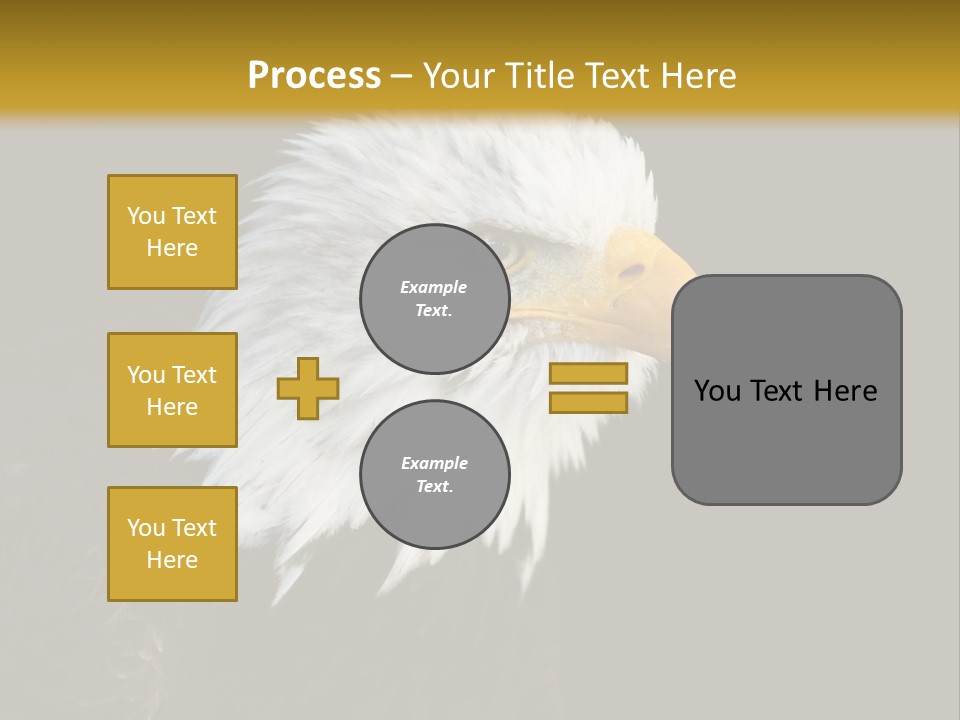 Head Haliaeetus American PowerPoint Template