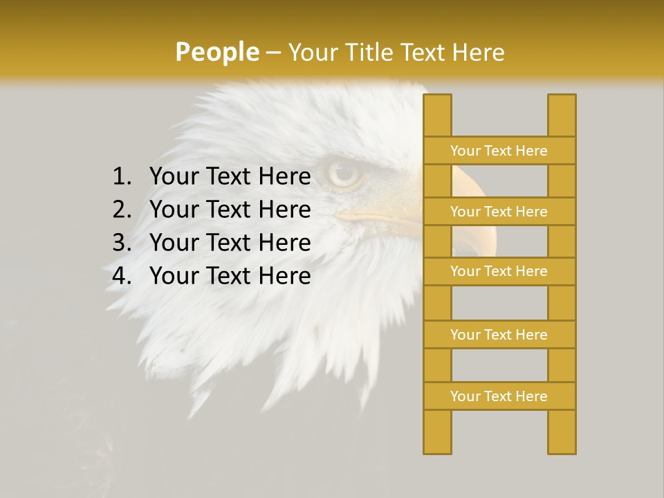 Head Haliaeetus American PowerPoint Template