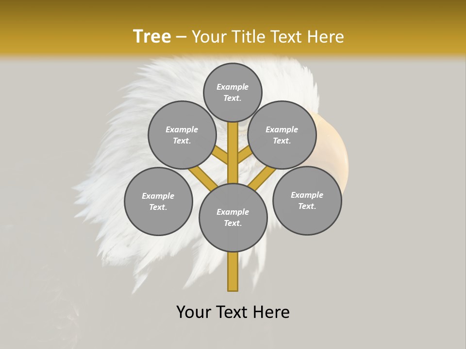 Head Haliaeetus American PowerPoint Template