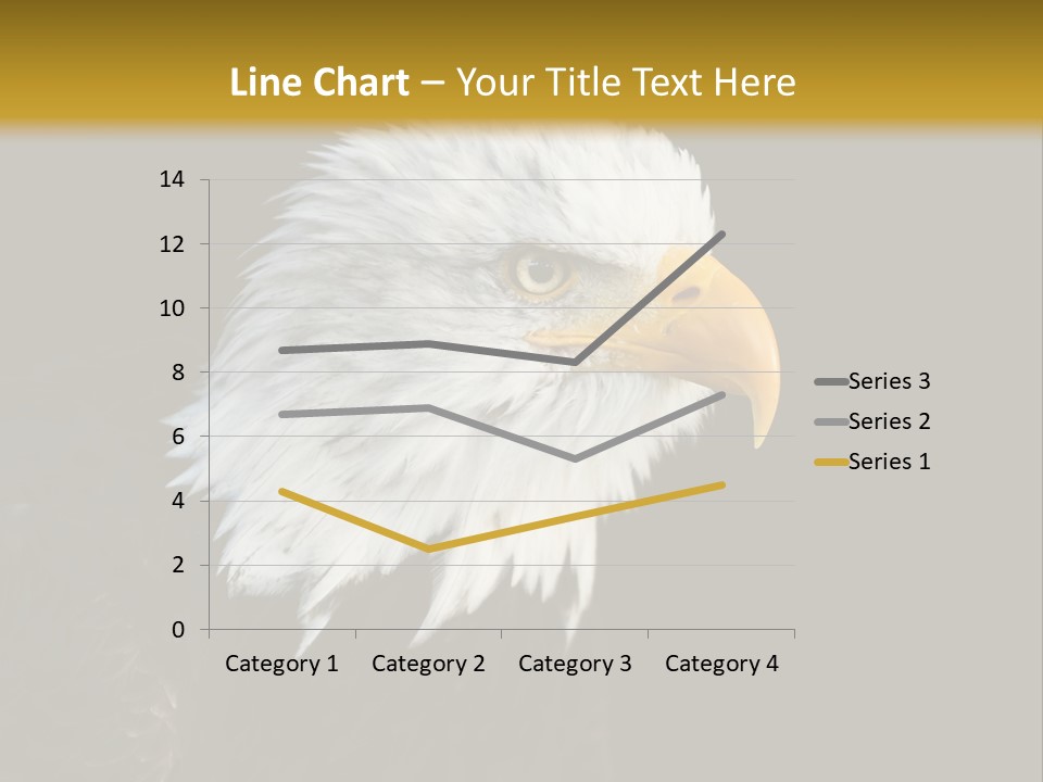 Head Haliaeetus American PowerPoint Template