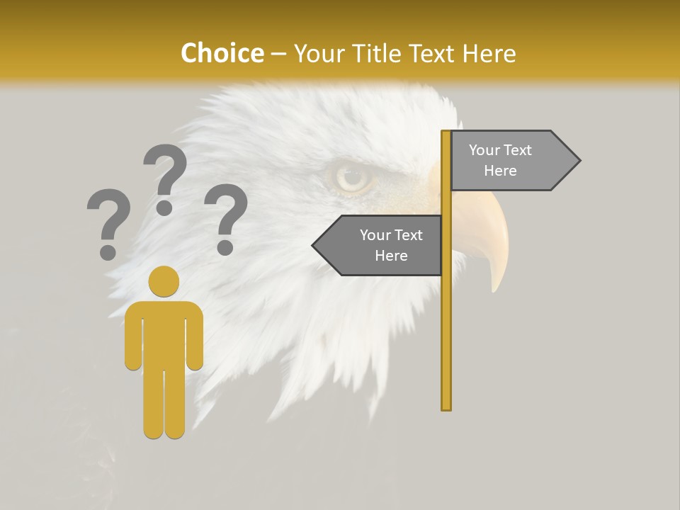 Head Haliaeetus American PowerPoint Template