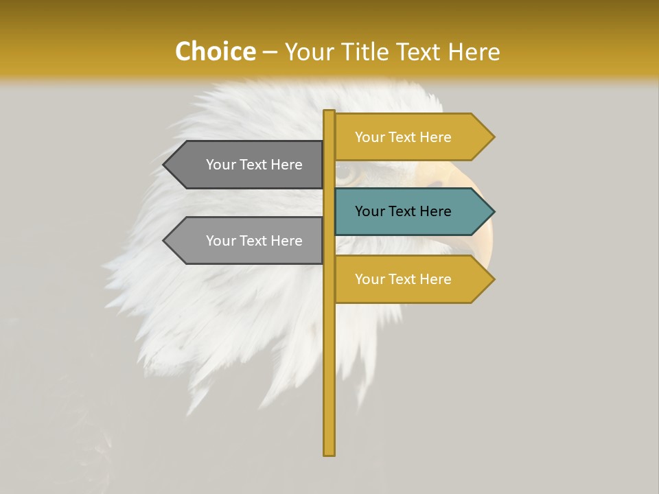 Head Haliaeetus American PowerPoint Template