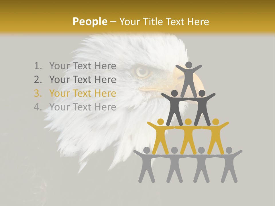 Head Haliaeetus American PowerPoint Template