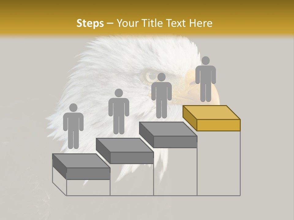 Head Haliaeetus American PowerPoint Template
