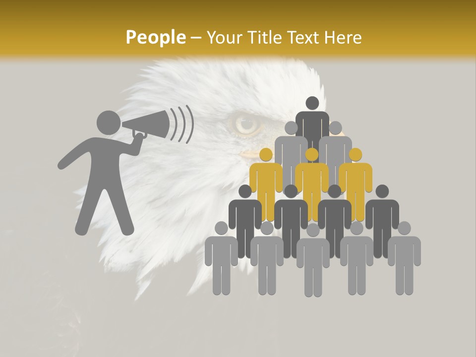 Head Haliaeetus American PowerPoint Template