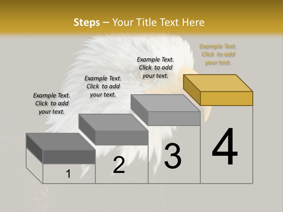 Head Haliaeetus American PowerPoint Template
