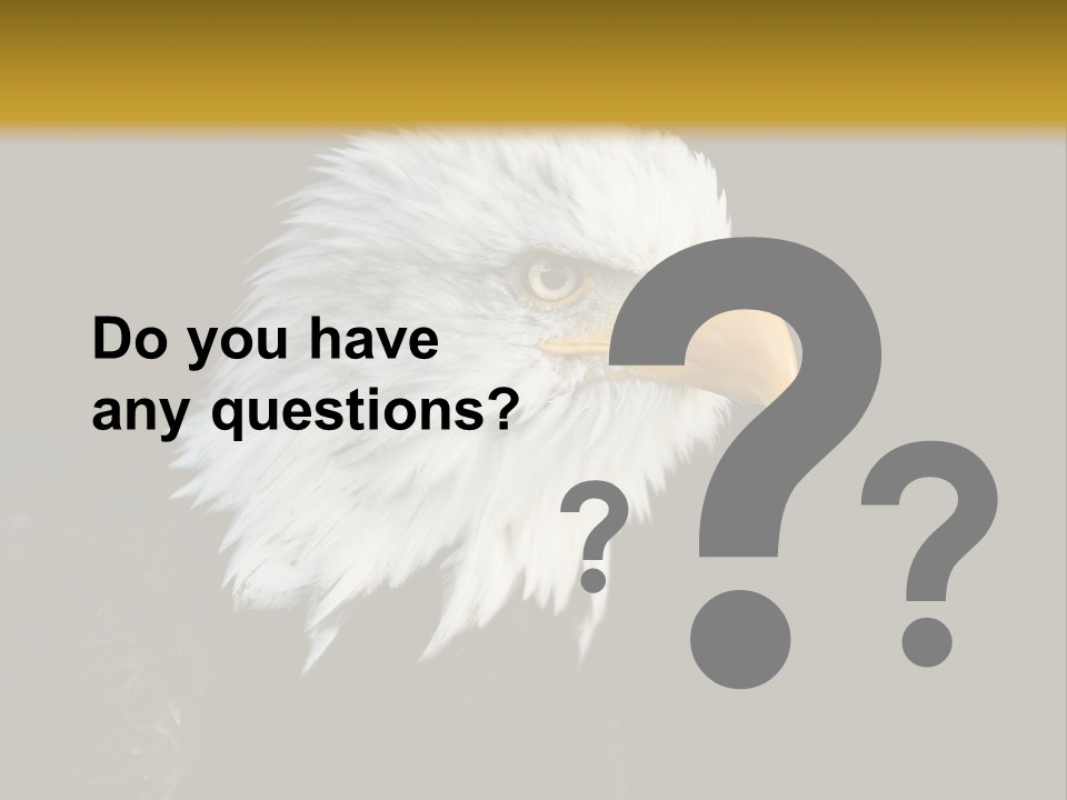 Head Haliaeetus American PowerPoint Template