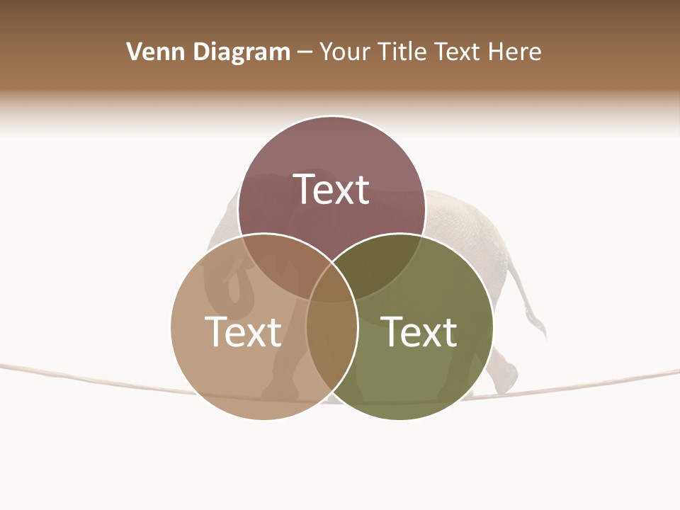 Metaphor Balance Acrobat PowerPoint Template