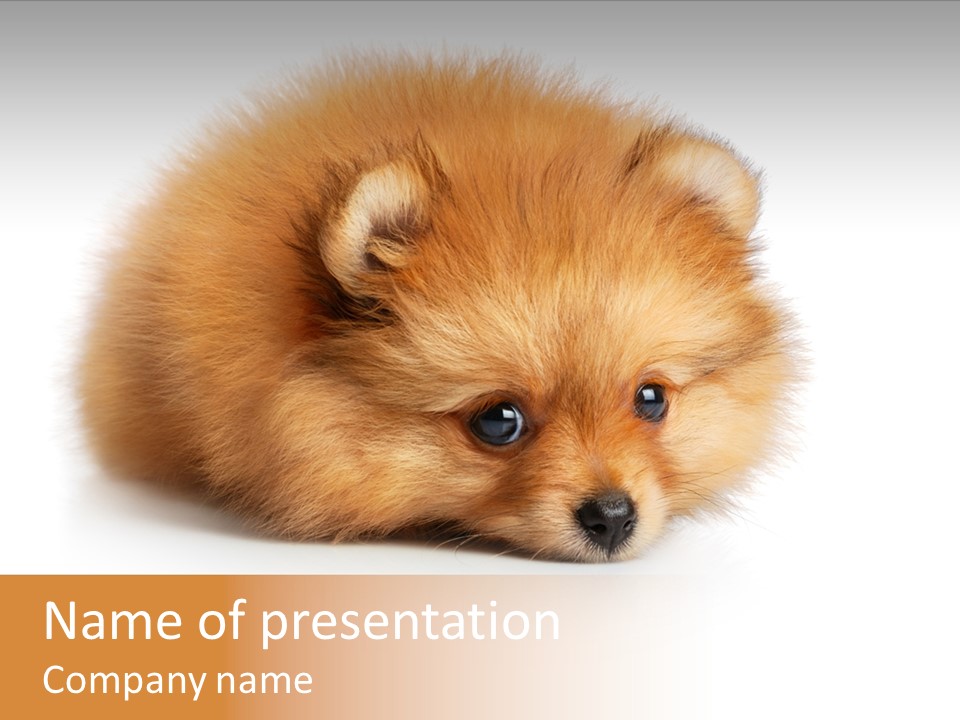 Cute Staring Horizontal PowerPoint Template