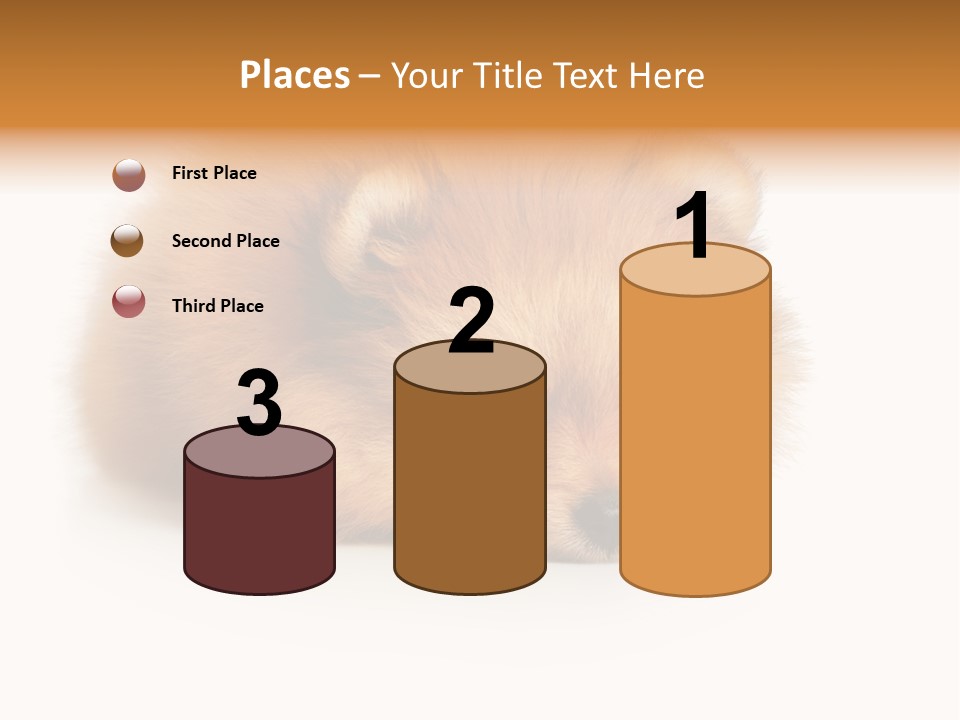 Cute Staring Horizontal PowerPoint Template
