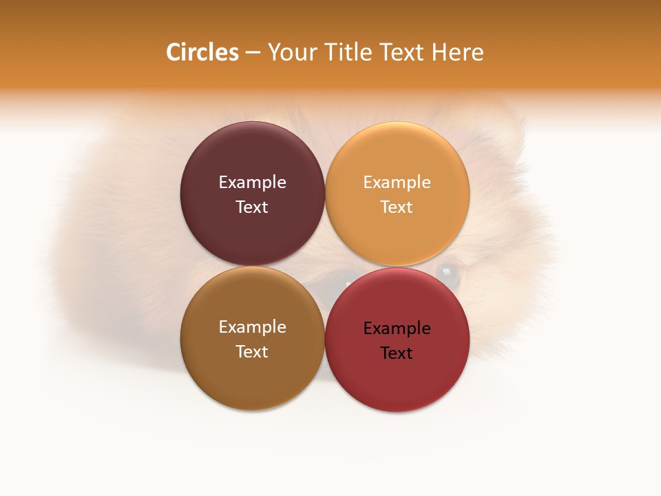 Cute Staring Horizontal PowerPoint Template