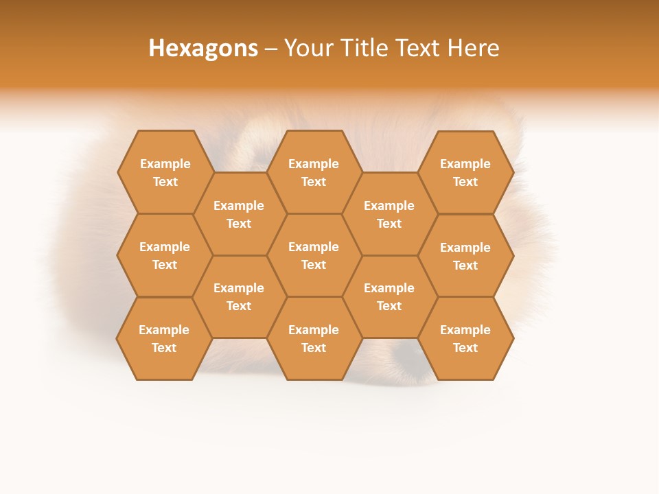 Cute Staring Horizontal PowerPoint Template