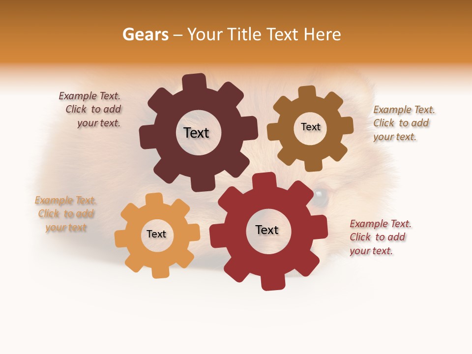 Cute Staring Horizontal PowerPoint Template