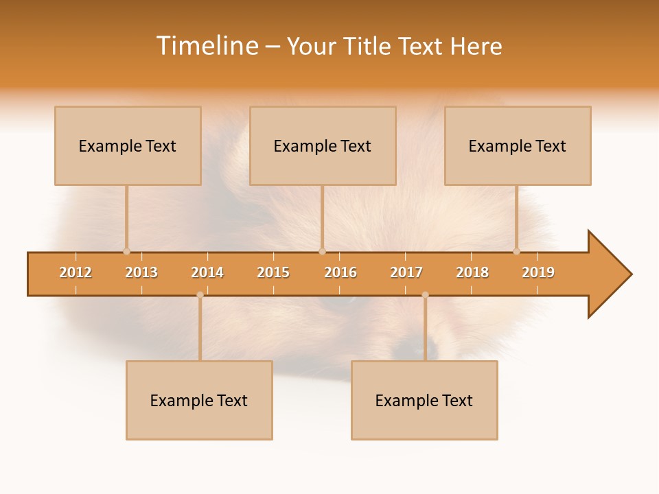 Cute Staring Horizontal PowerPoint Template