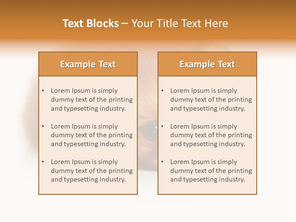 Cute Staring Horizontal PowerPoint Template