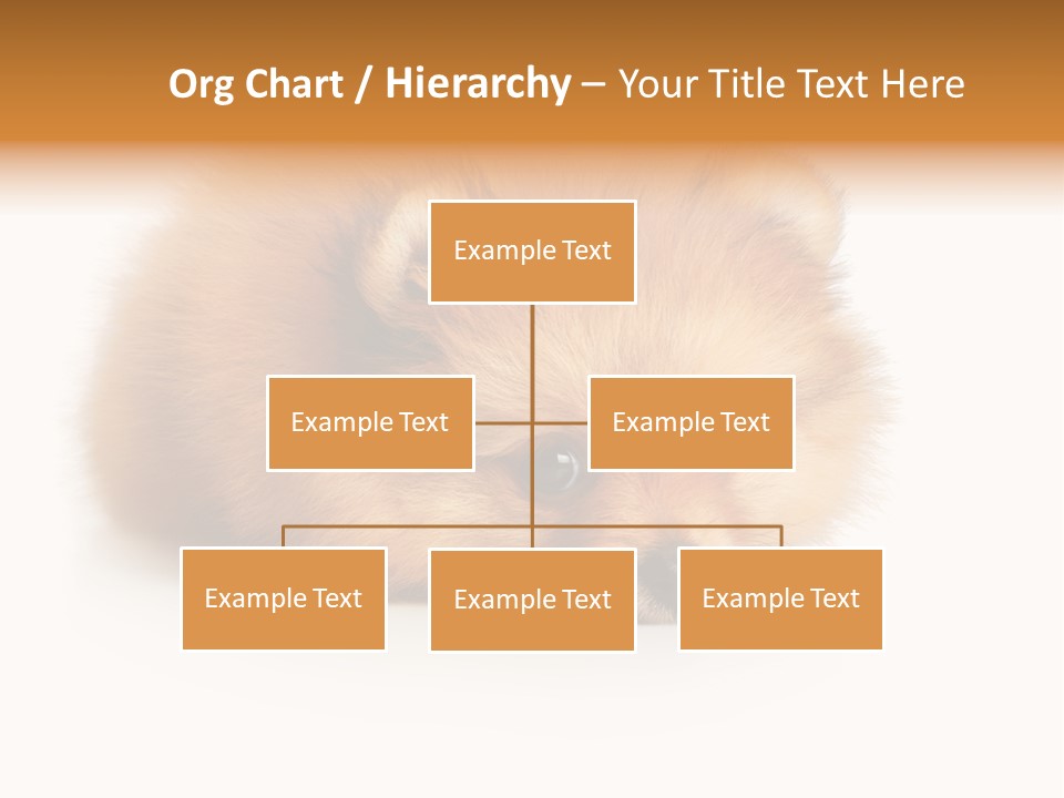 Cute Staring Horizontal PowerPoint Template