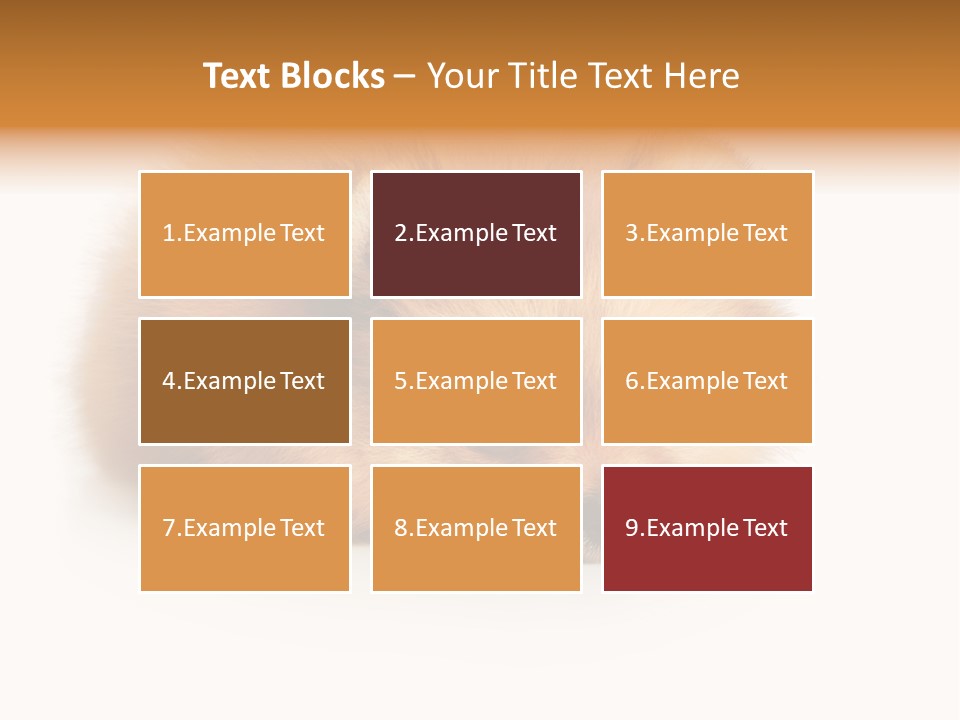 Cute Staring Horizontal PowerPoint Template
