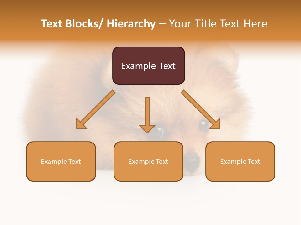 Cute Staring Horizontal PowerPoint Template