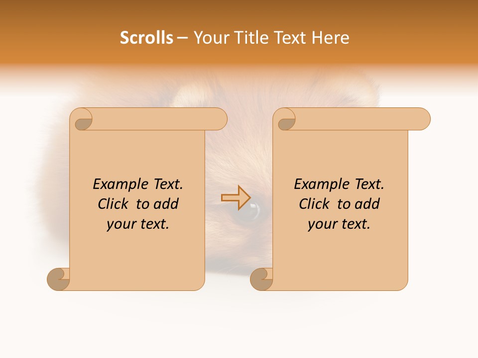 Cute Staring Horizontal PowerPoint Template
