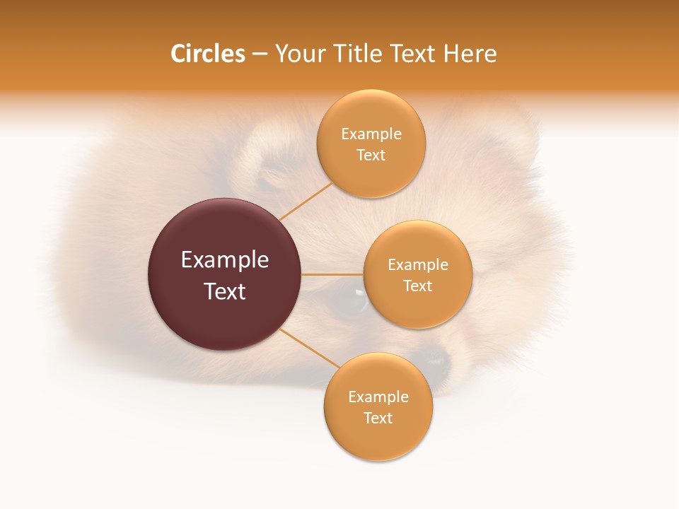 Cute Staring Horizontal PowerPoint Template