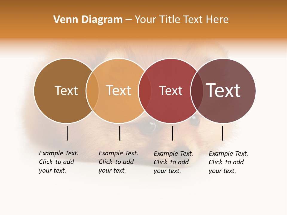 Cute Staring Horizontal PowerPoint Template